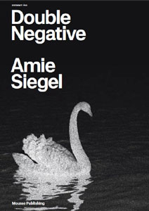 Amie Siegel - Ricochet #10 - Double Negative