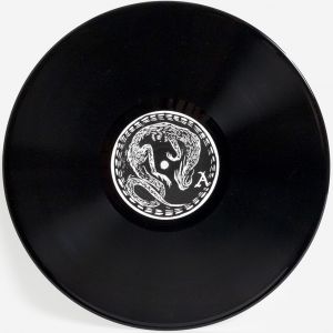 Velocity of Sleep (vinyl LP)
