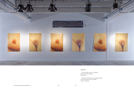 Biennale de Lyon 2013 Tome 2 – Veduta / Résonance