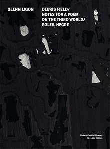 Glenn Ligon - Debris Field / Notes for a Poem on the Third World / Soleil Nègre