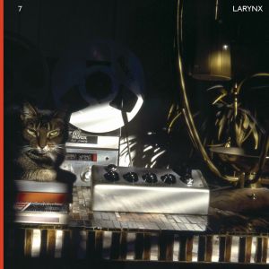  Lary 7 - Larynx (vinyl LP)