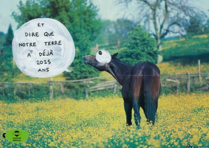 Nils Bertho - Passion Chevals - Calendrier 2025