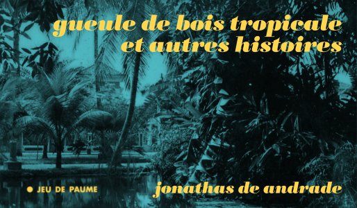 « Jonathas de Andrade. Gueule de bois tropicale et autres histoires »