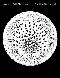 Emilija Škarnulytė - Waters Call Me Home