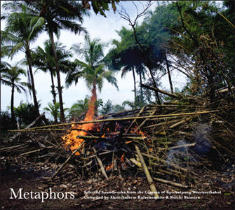 Apichatpong Weerasethakul - Metaphors - Selected Soundworks from the Cinema of Apichatpong Weerasethakul (vinyl LP)