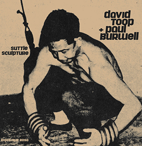 David Toop - Suttle Sculpture (vinyl LP)