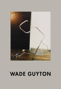 Wade Guyton - 