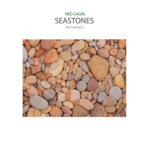 Ned Lagin - Seastones - Set 4 and Set 5 (vinyl LP)