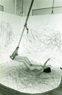 Carolee Schneemann - Kinetic Painting