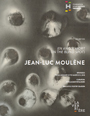 Jean-Luc Moulène - In the blind spot