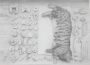 Laurent Le Deunff – The Mistery of Sculpting Cats