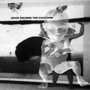 David Grubbs - The Coxcomb (vinyl LP)