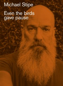 Michael Stipe - Even the birds gave pause