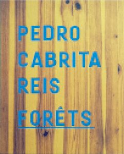 Pedro Cabrita Reis - Forêts