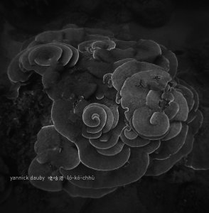 Yannick Dauby - 咾咕厝 ló-kó͘-chhù - Penghu Experimental Sound Studio Vol.2 (vinyl LP)