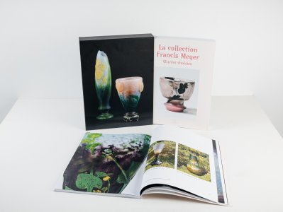 La collection Francis Meyer (box set)