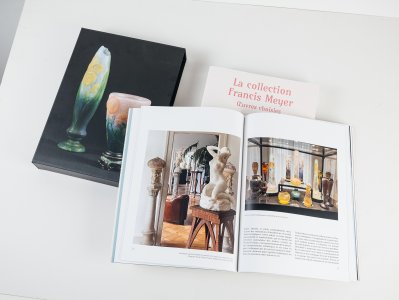 La collection Francis Meyer (box set)