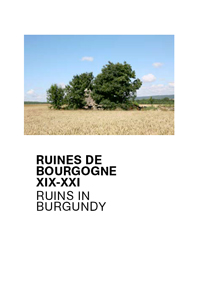 Lara Almarcegui - Ruins in Burgundy - XIX-XXI