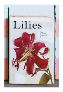 David Gilbert - Lilies 