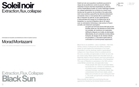 Black Sun