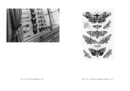 W. G. Sebald – L'image-papillon