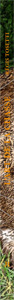 L\'Art de la Chasse