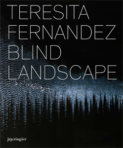 Teresita Fernández - Blind Landscape