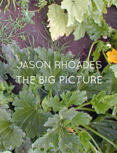 Jason Rhoades - The Big Picture