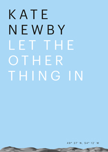 Kate Newby - Let the other thing in 