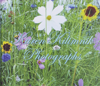 Karen Kilimnik - Photographs 