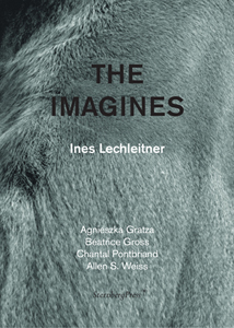 Ines Lechleitner - The Imagines