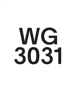 Wade Guyton - WG3031