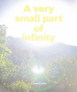 Lionel Estève - A very small part of infinity