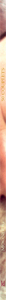 50 Couplets