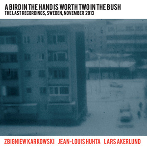 Zbigniew Karkowski - A Bird In The Hand Is Worth Two In The Bush - The Last Recordings, Sweden, November 2013 (2 CD)
