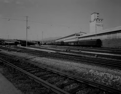 Railway Flora