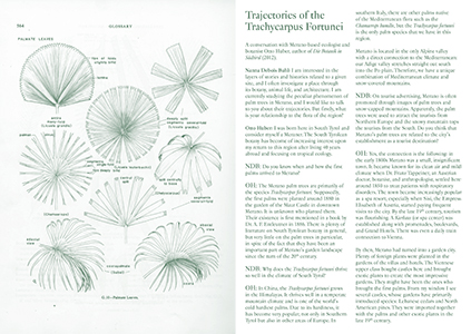 Palm Tree Studies in South Tyrol and Beyond