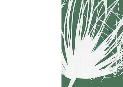 Palm Tree Studies in South Tyrol and Beyond