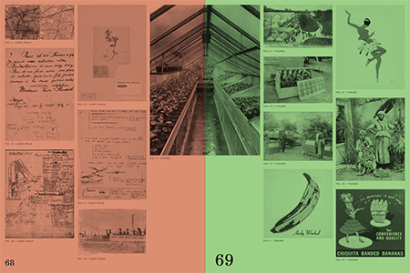 Soil Affinities