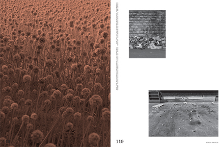 Soil Affinities