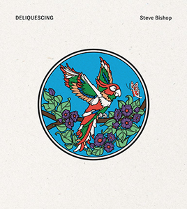 Steve Bishop - Deliquescing