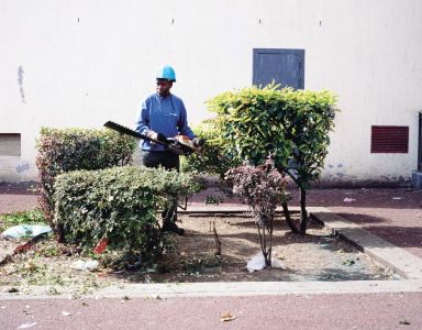 Manuel d'écologie urbaine