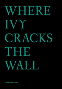 Maya Schweizer - Where Ivy cracks the wall