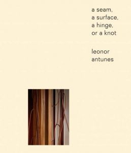 Leonor Antunes - A seam, a surface, a hinge, or a knot