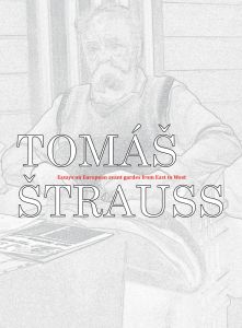 Tomáš Štrauss - Beyond the Great Divide - Essays on European avant gardes from East to West