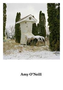 Amy O\'Neill - Suburban Imagination 