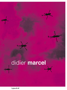 Didier Marcel -  