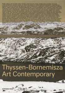 Thyssen-Bornemisza Art Contemporary - The Commissions Book