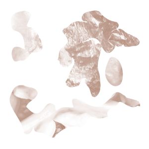  Soft tissue - Hi leaves (vinyl LP)