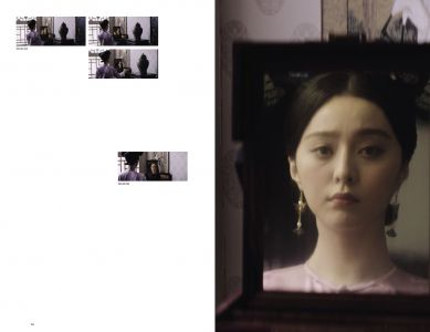 Lady in the Portrait (book + Blu-Ray + DVD)